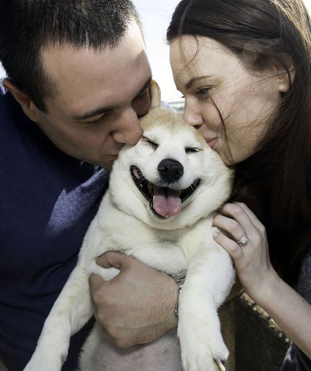 Ez a kutya soha nem hagyja abba mosolygást - fotók