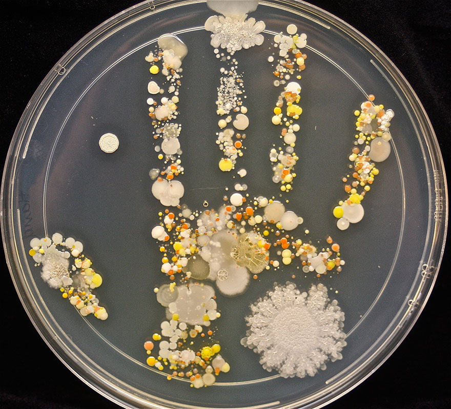 Ennyi baktérium van egy udvaron játszó gyerek kezén