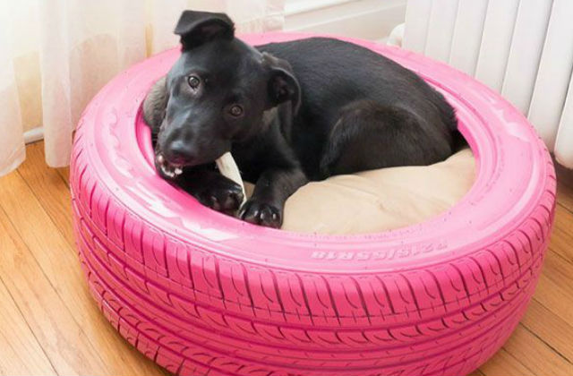 Szemmel láthatóan a kutyus jól érzi magát a gumiból kreált otthonában. Fotó: pinterest.com