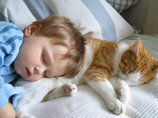 20 elképesztően aranyos macskás és babás fotó