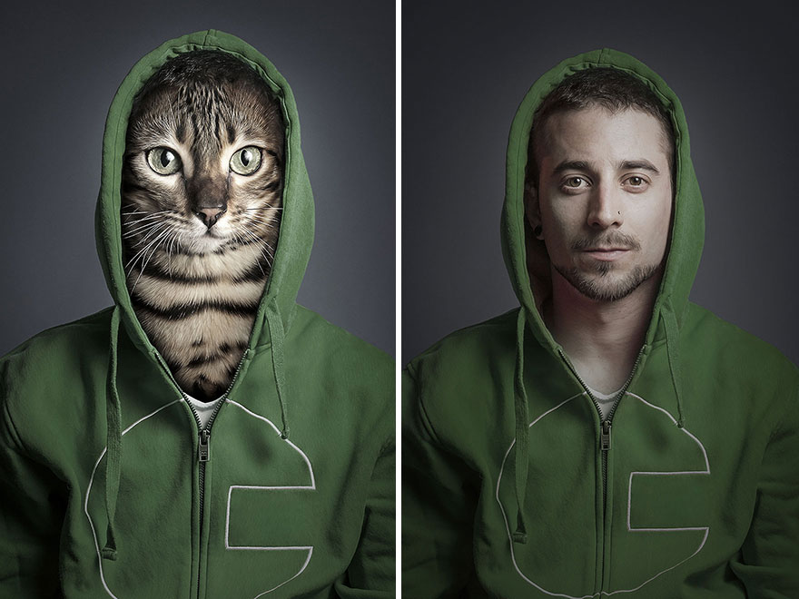 Így néznének ki a macskák emberi ruhában - mókás képek