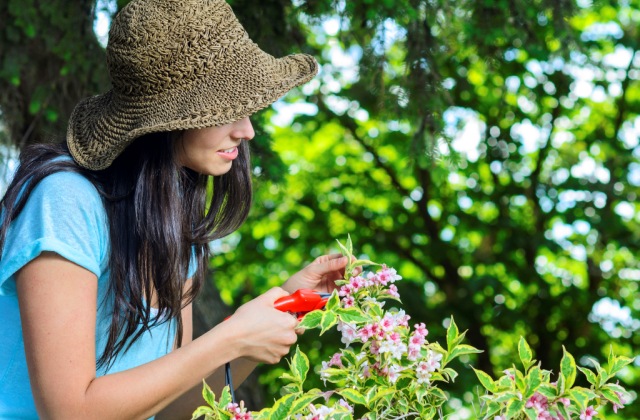 Szerszámkalauz – így válassz kerti szerszámot