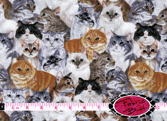25 menő macskás cucc a négylábúak rajongóinak - képek