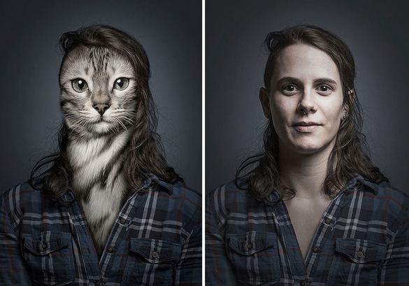 Gazdáik bőrébe bújttatta a macskákat egy fotós