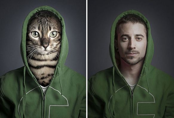 Gazdáik bőrébe bújttatta a macskákat egy fotós