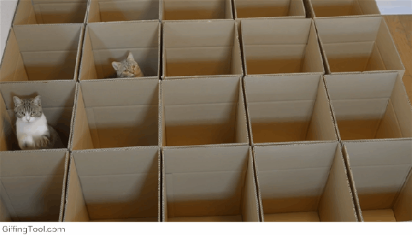 Íme, az élő integető macska! - videó