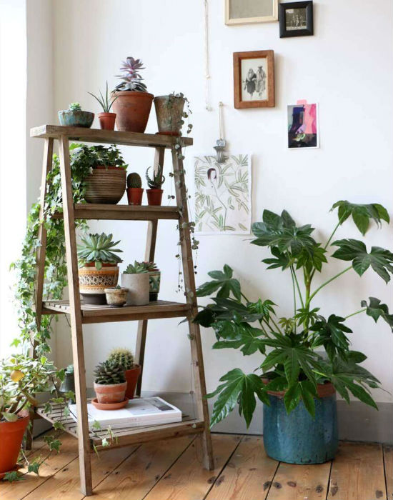 8 zseniális ötlet, hogy helyezd el a szobanövényeidet a lakásban