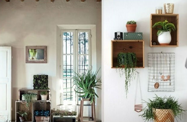 8 zseniális ötlet, hogy helyezd el a szobanövényeidet a lakásban