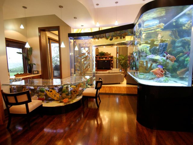 27 hihetetlen akvárium, amit neked is látnod kell! - képek