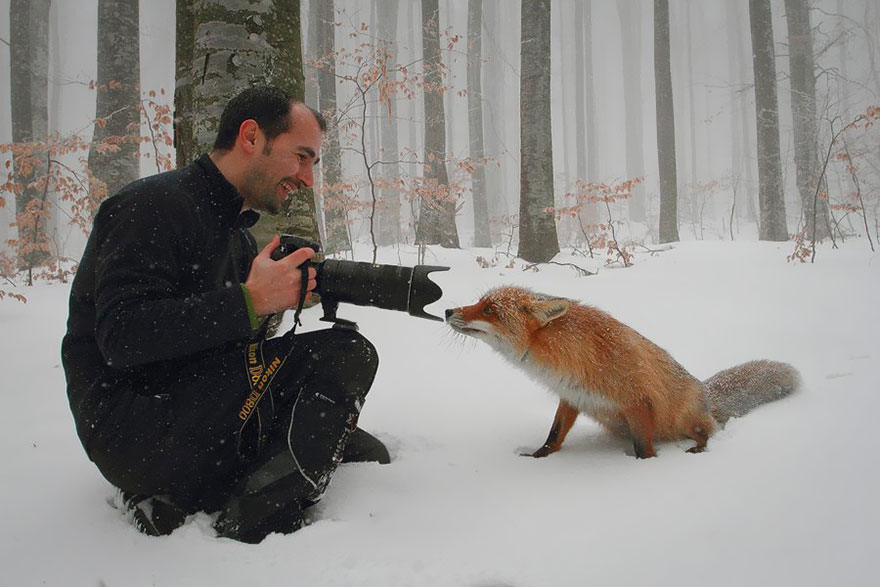 21 állat, akik fotósok szeretnének lenni - tündéri képek