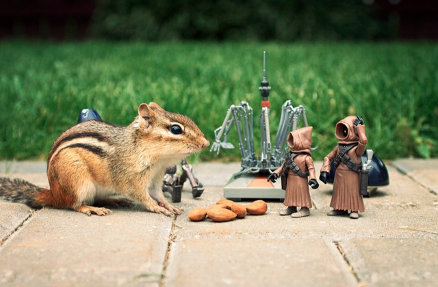 Ilyen lenne a Csillagok háborúja, ha mókusokkal forgatják - fotók