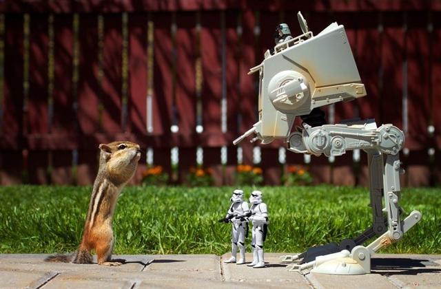 Ilyen lenne a Csillagok háborúja, ha mókusokkal forgatják - fotók