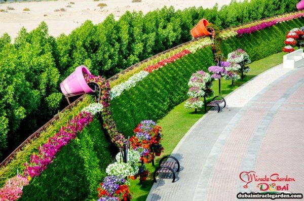 A világ legnagyobb virágoskertje Dubaiban