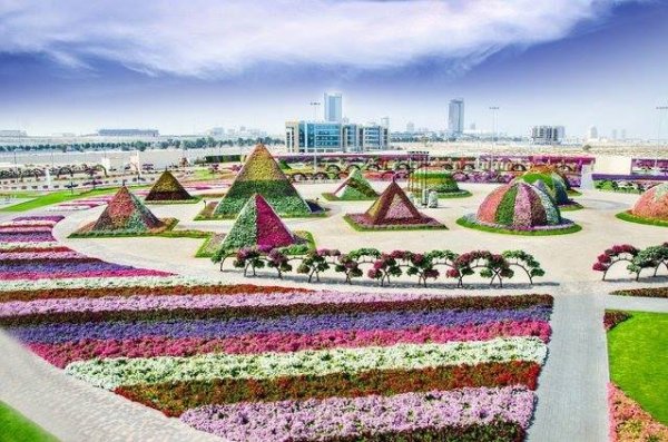 A világ legnagyobb virágoskertje Dubaiban