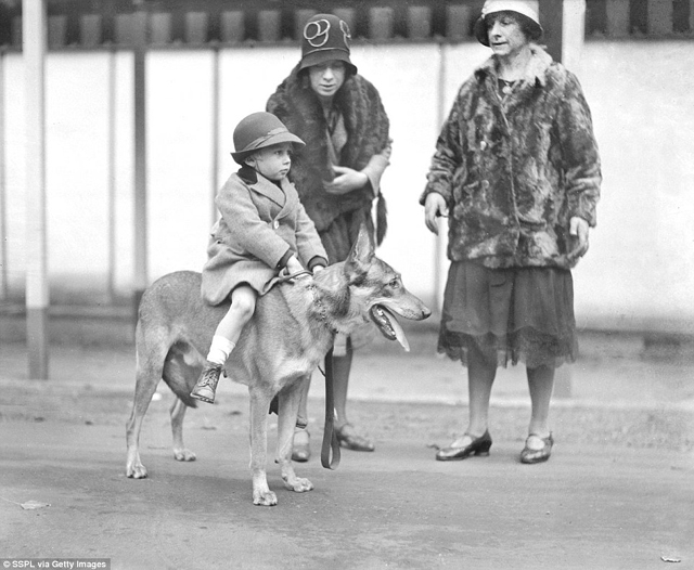 Cukiság retró: ilyen volt egy kutyakiállítás száz évvel ezelőtt
