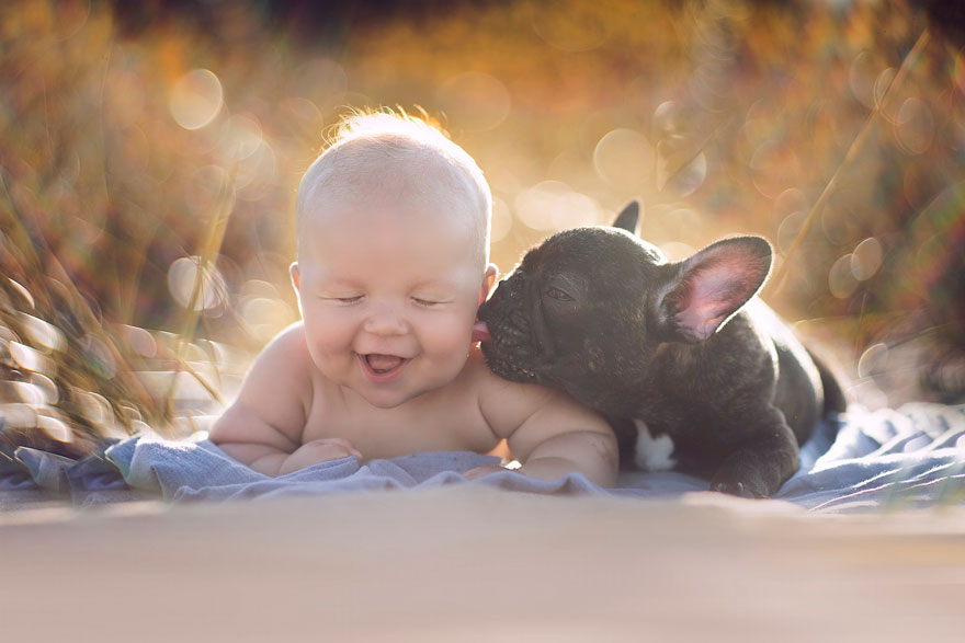 Csodás kép: a baba és a bulldog elválaszhatatlan társak lettek