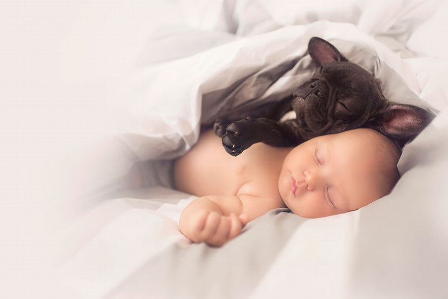 Csodás kép: a baba és a bulldog elválaszhatatlan társak lettek