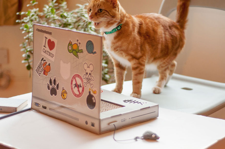 Itt az első macska laptop!