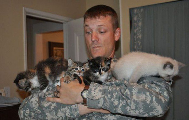 15 megható kép olyan katonákról, akik macskákat mentettek meg a háborúban