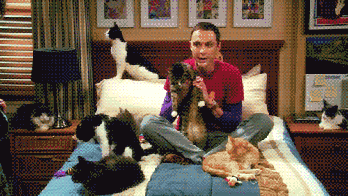 Agymenők: 11 gif és videó Sheldonról, amit elküldhetsz SMS helyett