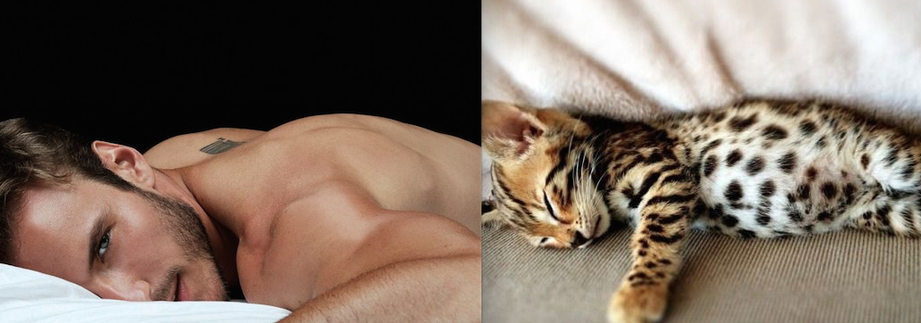 A nap legjobb képei: pasik és macskák, akik hasonlítanak egymásra