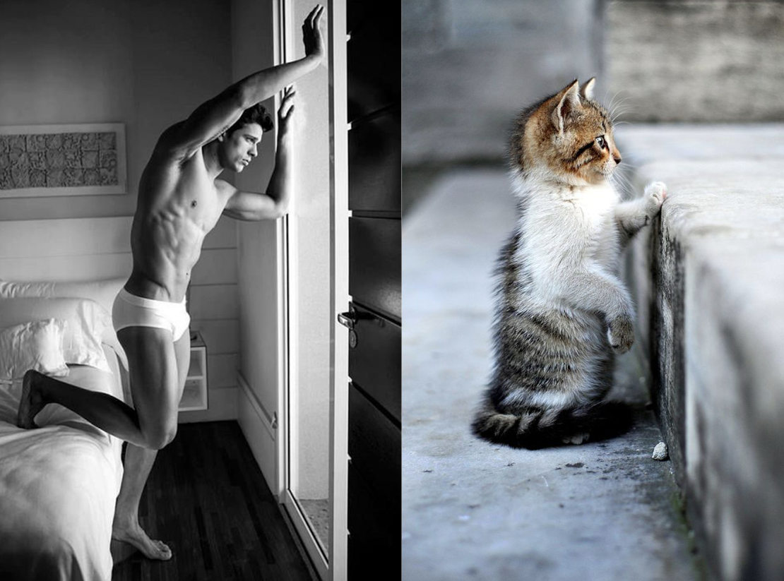 A nap legjobb képei: pasik és macskák, akik hasonlítanak egymásra