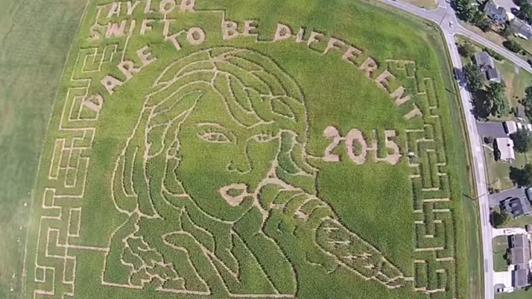 Ez a rajongó kukoricatáblába rajzolta Taylor Swift arcképét!