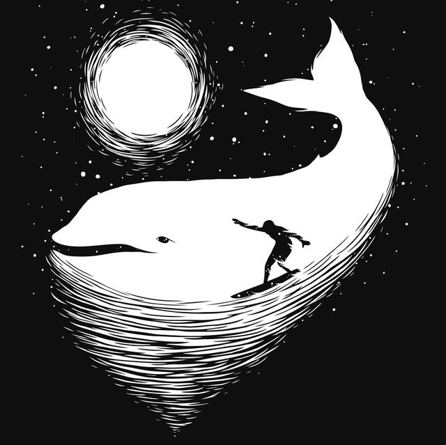 bálna, hold és a tükörképe a vízen, szörföző