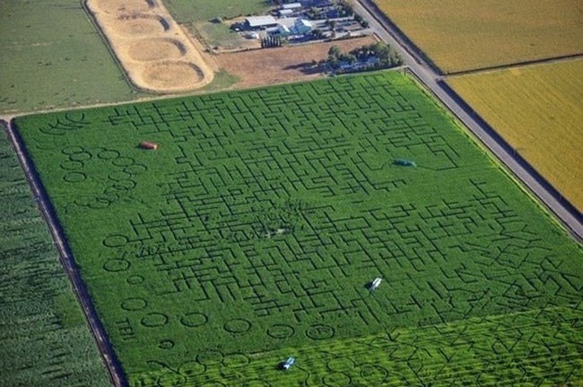 A világ legbonyolultabb kukorica labirintusa 