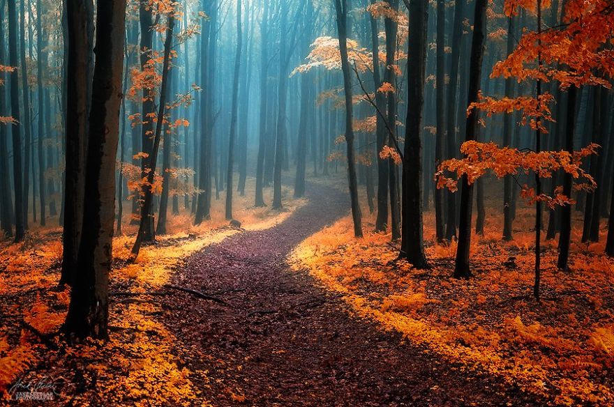 Soha nem láttál még ilyen szépet! -Őszi erdő Csehországban