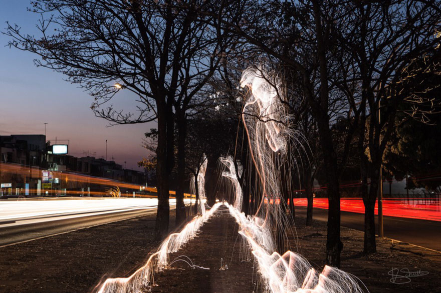 Csodás fotók egy különleges világító fáról