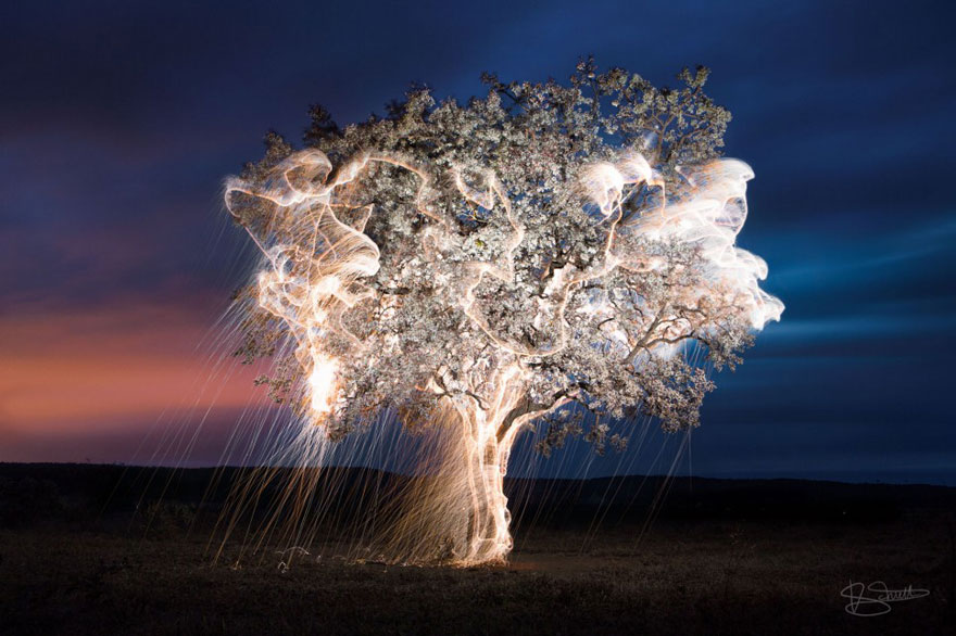 Csodás fotók egy különleges világító fáról