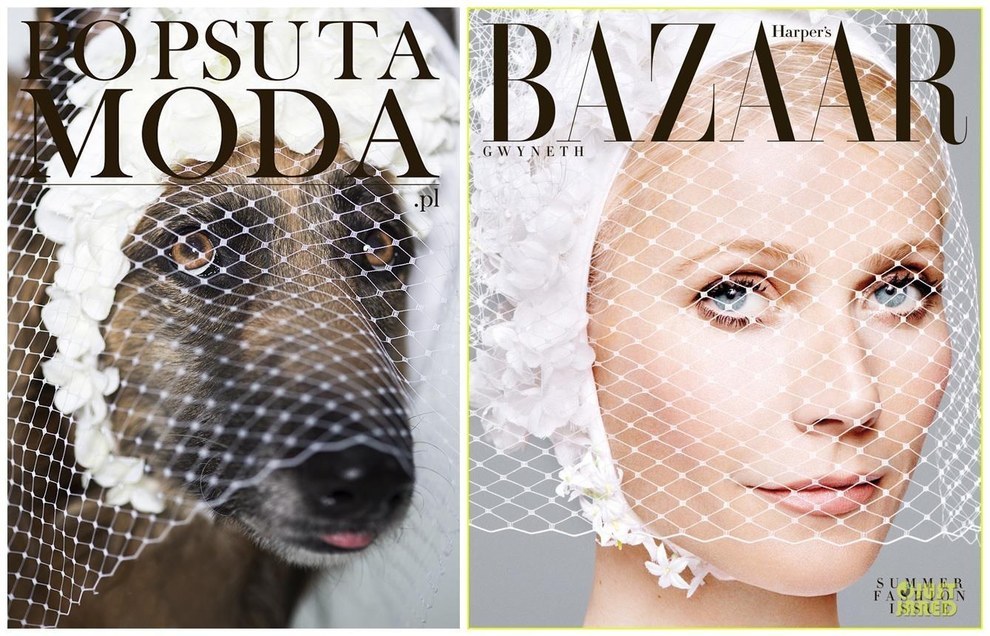 Szuper kezdeményezés: híres címlapokat fotóztak újra megmentett kutyákkal