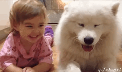 22 dolog, aminek az emberek és a kutyák is ugyanúgy örülnek