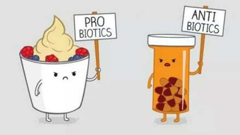 10 dolog, amit tudnod kell, mielőtt probiotikumot szednél