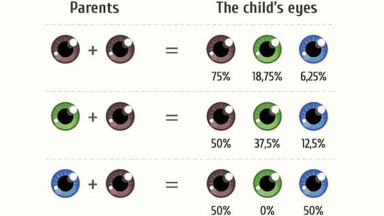 Szeretnéd tudni, milyen lesz a gyereked szeme? Megmondjuk!