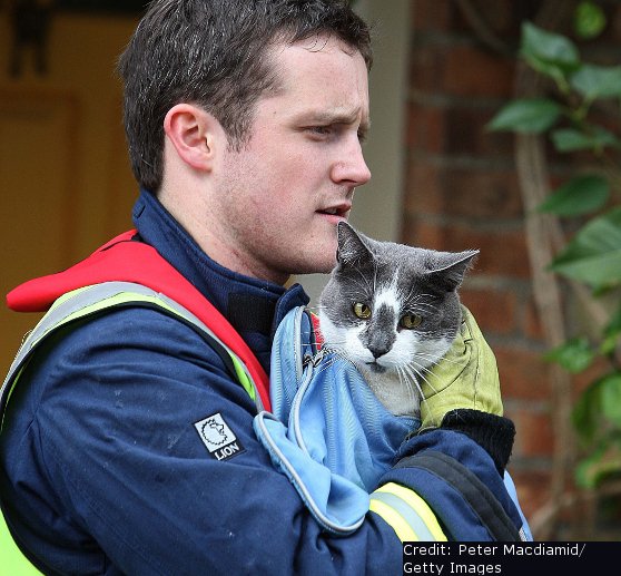 Tűzből kimentett cicák és bátor megmentőik - fotók