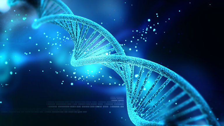 DNS-ünk működését csak részben ismerjük (Kép: Tumblr)
