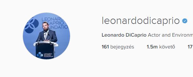 7 ok, amiért a ma 41 éves Leonardo DiCapriot ünnepeljük