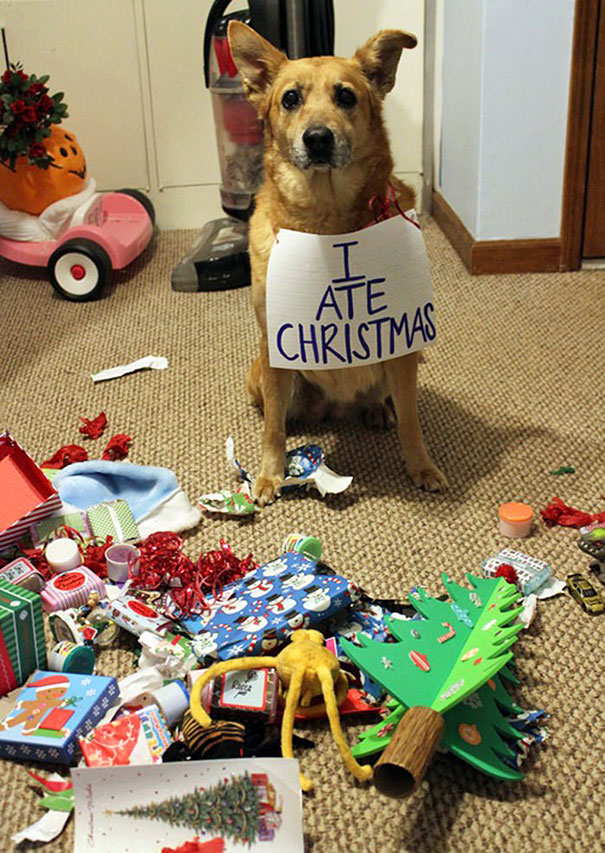 Amikor az állatok kinyírják a karácsonyt