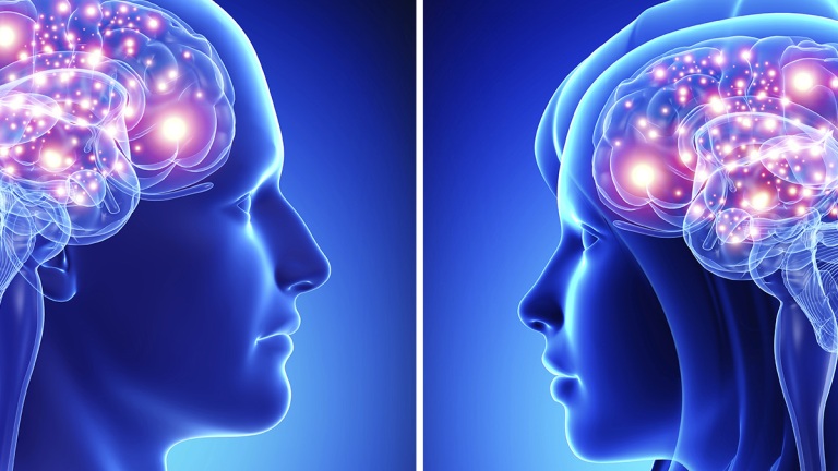 Nincs anatómia különbség a férfiak és a nők agya között