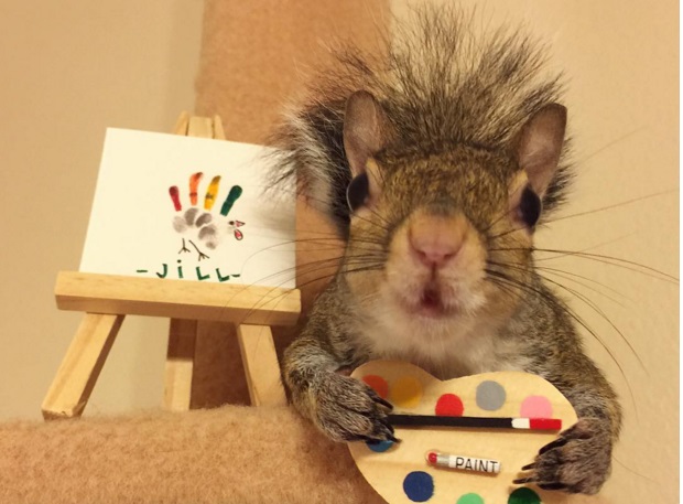 Ismerd meg Jillt, a legcukibb mókust az Instagramon