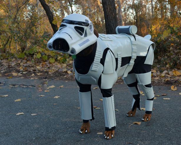 Ezért a rohamosztagosnak öltözött kutyáért megvesznek majd a Star Wars rajongók!