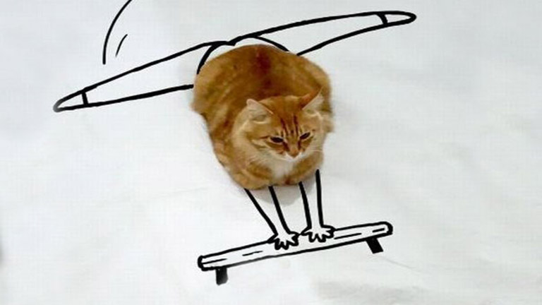 A pufók macska rajzolt kalandjai - vicces képek