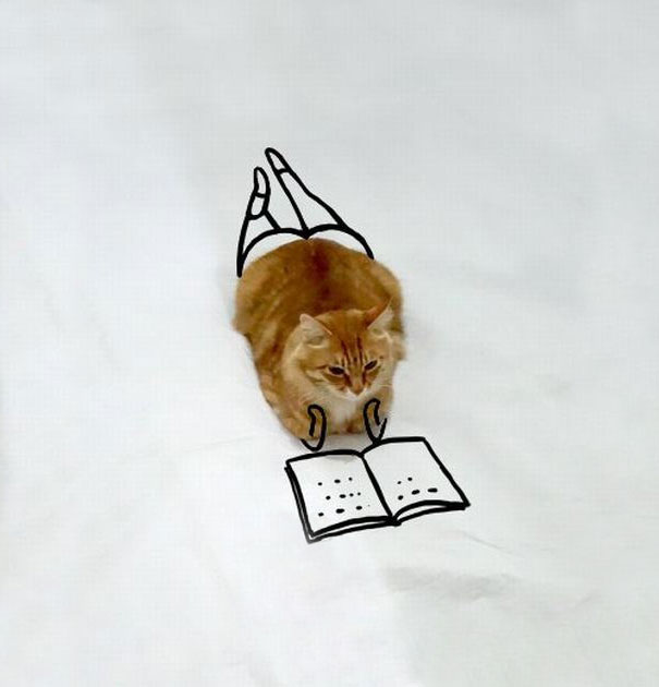 A pufók macska rajzolt kalandjai - vicces képek