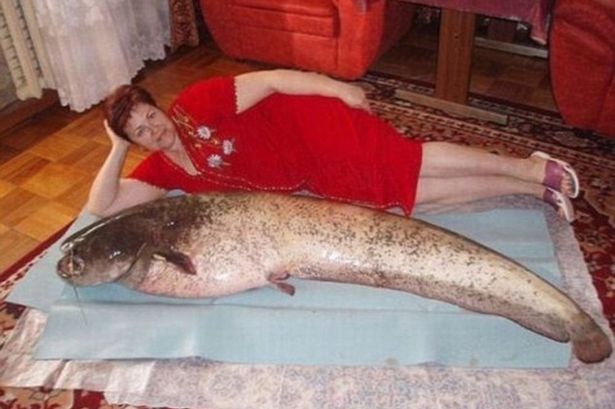 legfurcsabb képek az orosz társkereső oldalakon