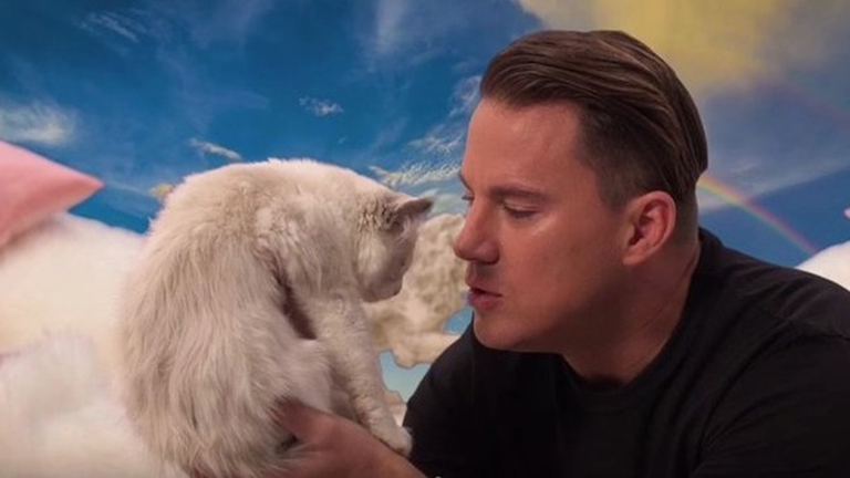 Channing Tatum akkor is imádnivaló, miközben porig aláz egy macskát – videó