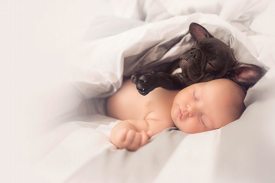 Napi cukiság: a kisbaba és a francia bulldog barátsága