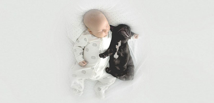 Napi cukiság: a kisbaba és a francia bulldog barátsága