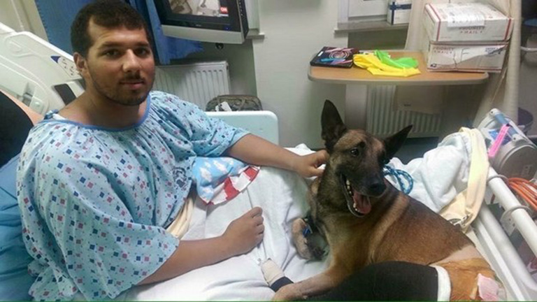Megható fotó: kutyájával együtt lábadozik a katona